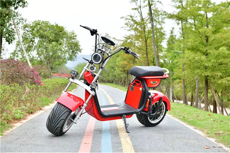 Scooter elétrico motocicleta eec coc e 1500W 60V