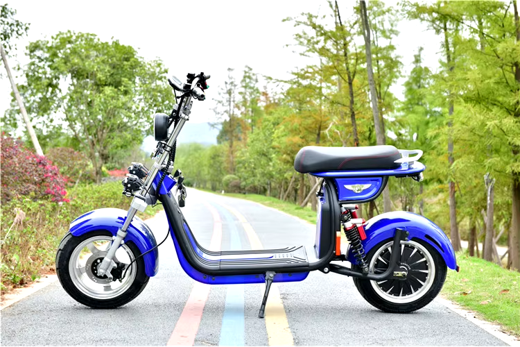 Scooter elétrico motocicleta eec coc e 1500W 60V