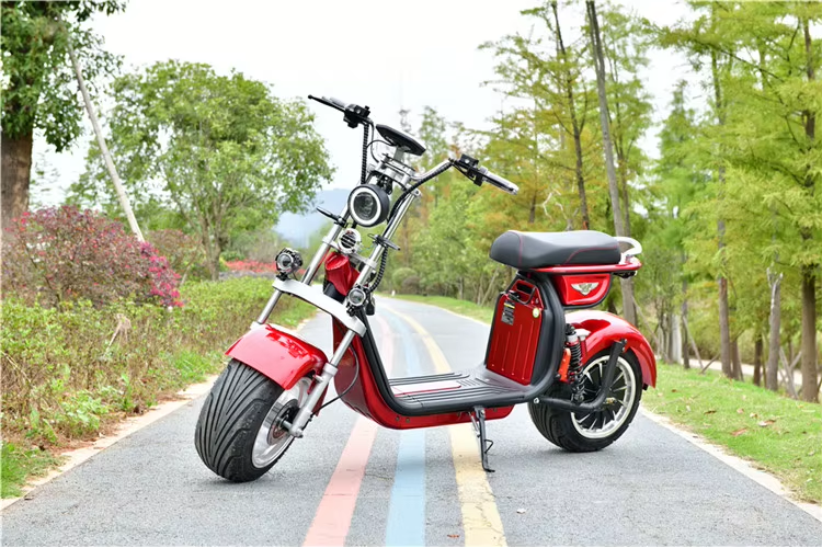 Scooters Elétricos Citycoco 1000W Bateria De Lítio Freio a Disco