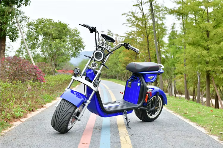 Scooters Elétricos Citycoco 1000W Bateria De Lítio Freio a Disco